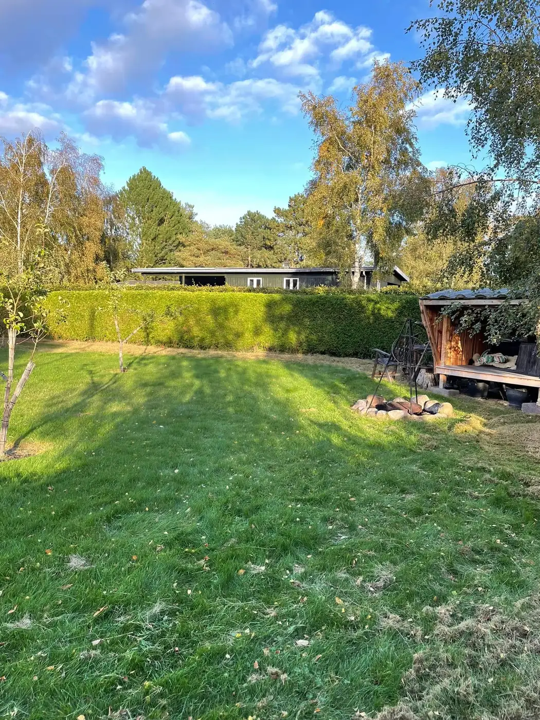 Nyklippet hæk langs en græsplæne med hus i baggrunden