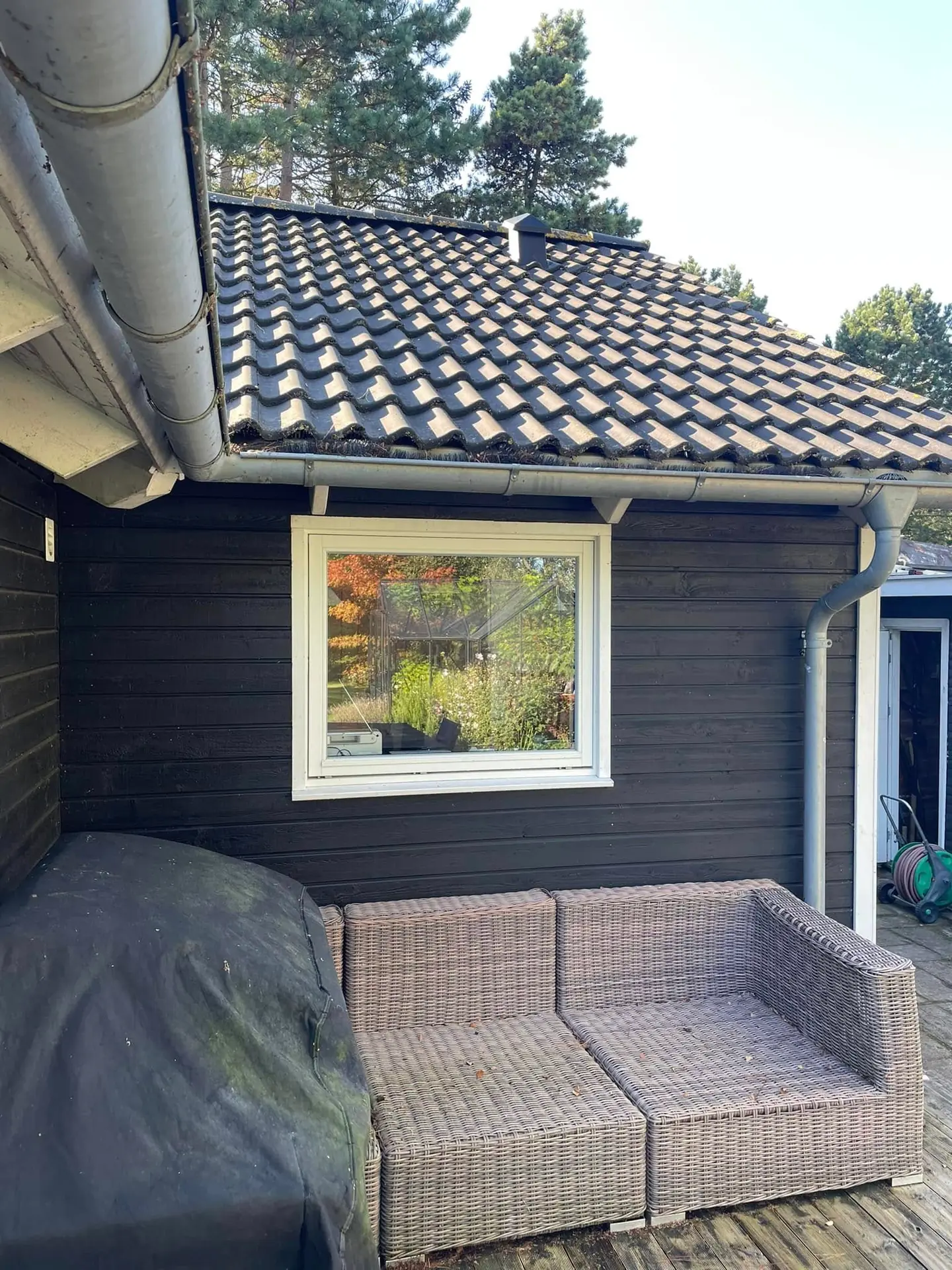 Algerensning af fliser, terrasse og tag, LB Multiservice, billede 1